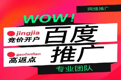 百度竞价包年推广案例深度剖析